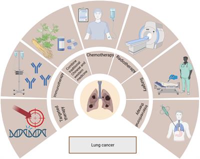 Adjusting the dose of traditional drugs combined with immunotherapy: reshaping the immune microenvironment in lung cancer